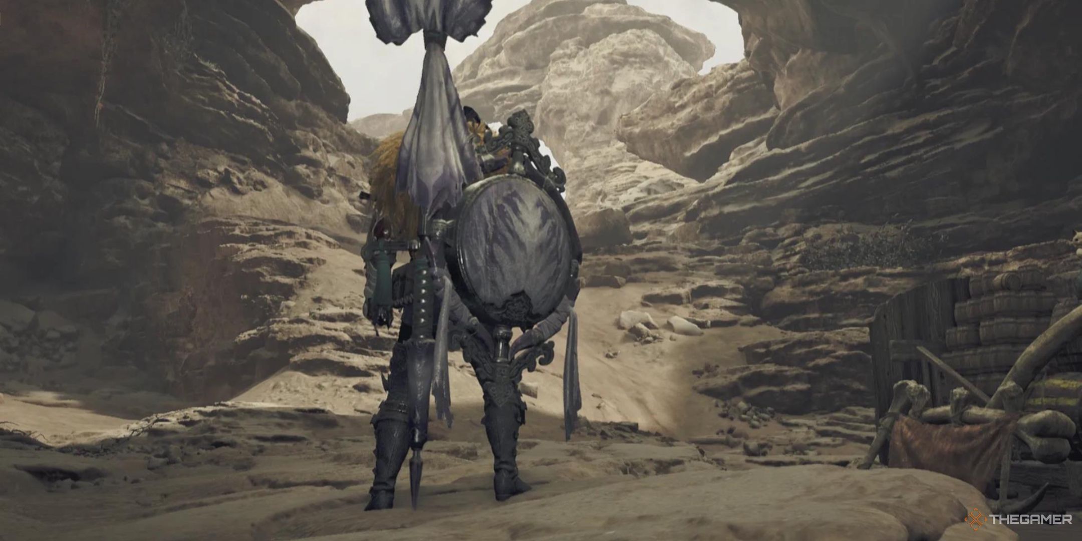 A Hunter stands facing the landscape, with a shield and an ornate Lance on their back, in Monster Hunter Wilds.