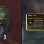 How to Farm Acute Fangs in Monster Hunter Wilds