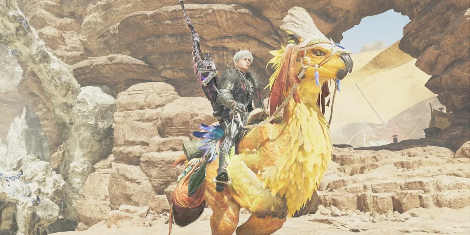 How to Get All Seikret Decorations in Monster Hunter Wilds
