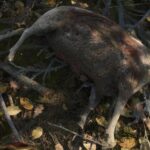 Kingdom Come: Deliverance 2 - Best UI Mods To Try Out