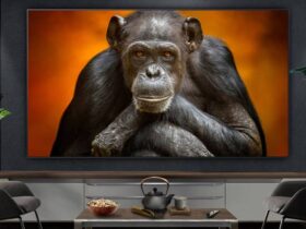 LG OLED G5 mounted on wall with chimpanzee on screen and coffee table with tea pot and popcorn on top.