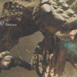 Monster Hunter Wilds: How to Beat Balahara