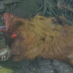 Monster Hunter Wilds: How to Capture Monsters