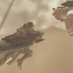 Monster Hunter Wilds Players Aren't Happy With The New Camera System