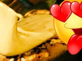 Monster Hunter Wilds' delectable cuisine causes cheese naan sales to surge