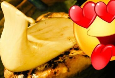 Monster Hunter Wilds' delectable cuisine causes cheese naan sales to surge