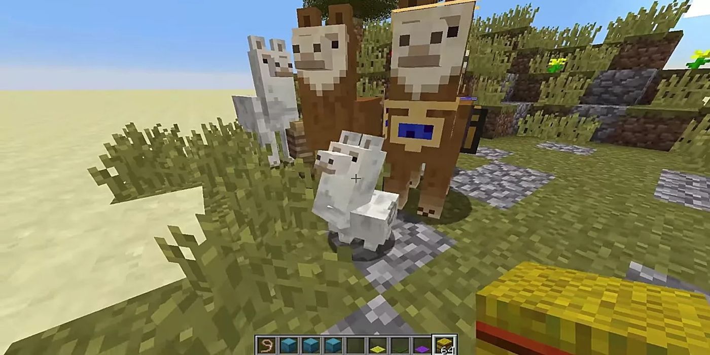 Image of a few llamas standing together after being bred from Minecraft. 