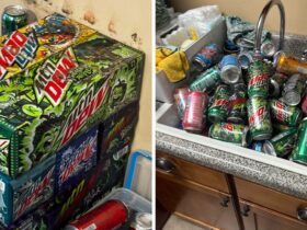 Mountain Dew Collector Loses 100+ Cans Due To Disastrous Leak