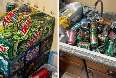 Mountain Dew Collector Loses 100+ Cans Due To Disastrous Leak