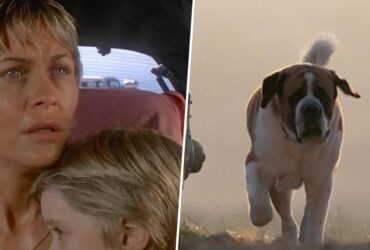 Netflix is making a brand new adaptation of Cujo, the infamous Stephen King book about a killer dog