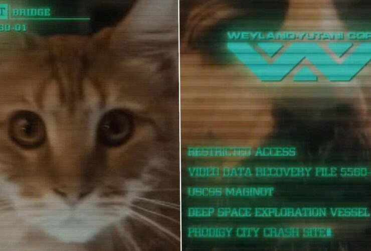 New Alien: Earth teaser introduces us to new cast members and the cutest little cat – and if a Xenomorph eats it, I will be furious