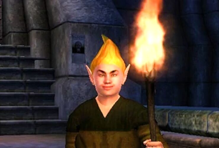 The Elder Scrolls' Oblivion's most annoying fan holds a torch