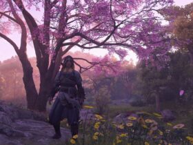 Assassin's Creed Shadows screenshot of Naoe wearing a hood and standing below a cherry blossom tree