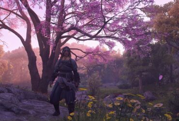 Assassin's Creed Shadows screenshot of Naoe wearing a hood and standing below a cherry blossom tree