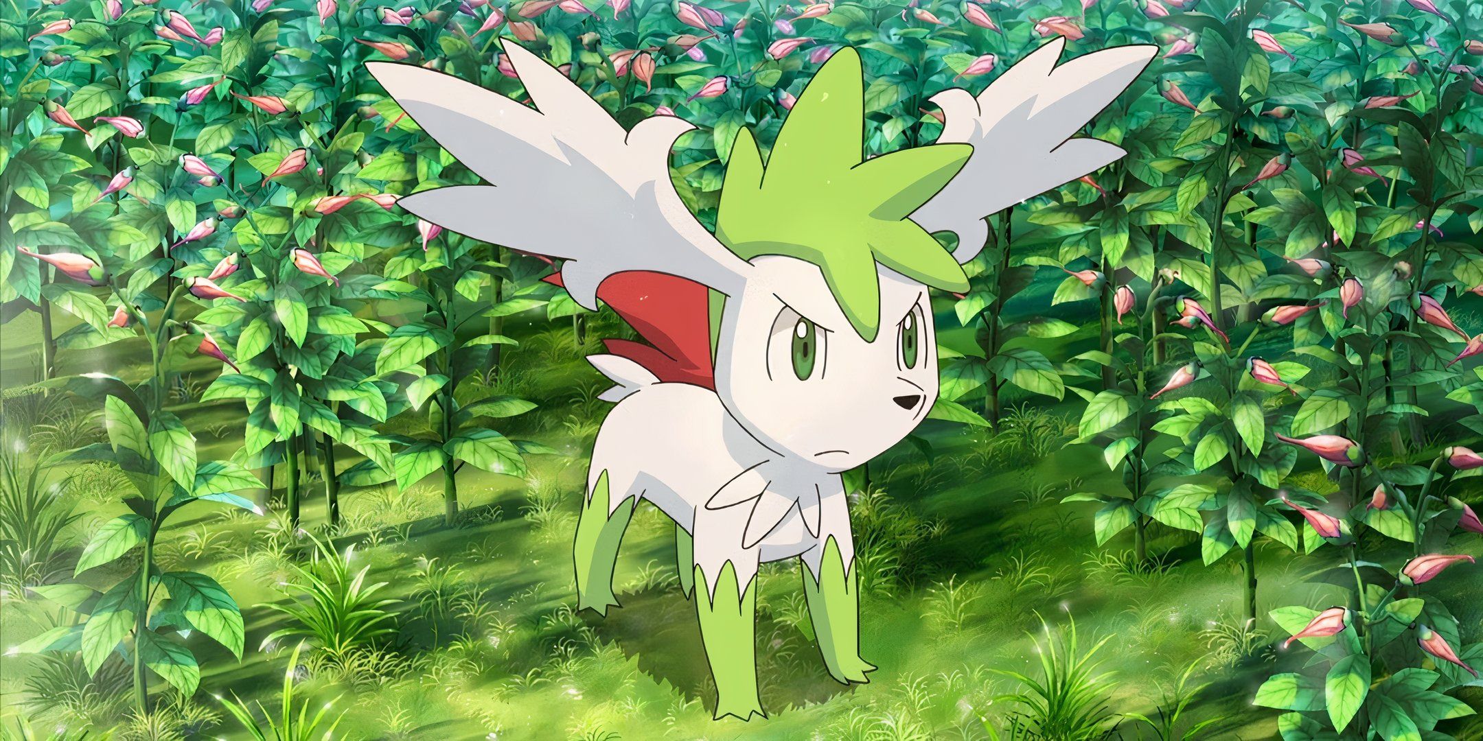 Pokemon Anime Scene Of Shaymin Sky Forme.