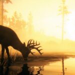 Red Dead Redemption 2 Player Finds Deer in Unexpected Location