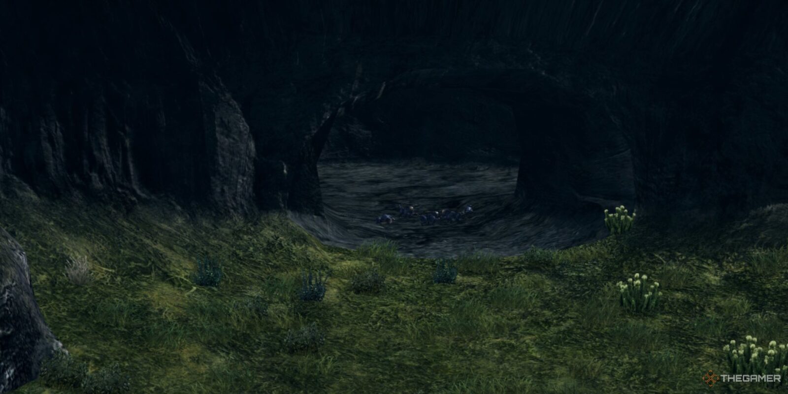Should You Kill The Suids In Xenoblade Chronicles X Definitive Edition?