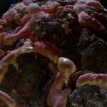 Star Trek: The Horta, Explained