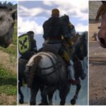 The Best Horses In Kingdom Come: Deliverance 2