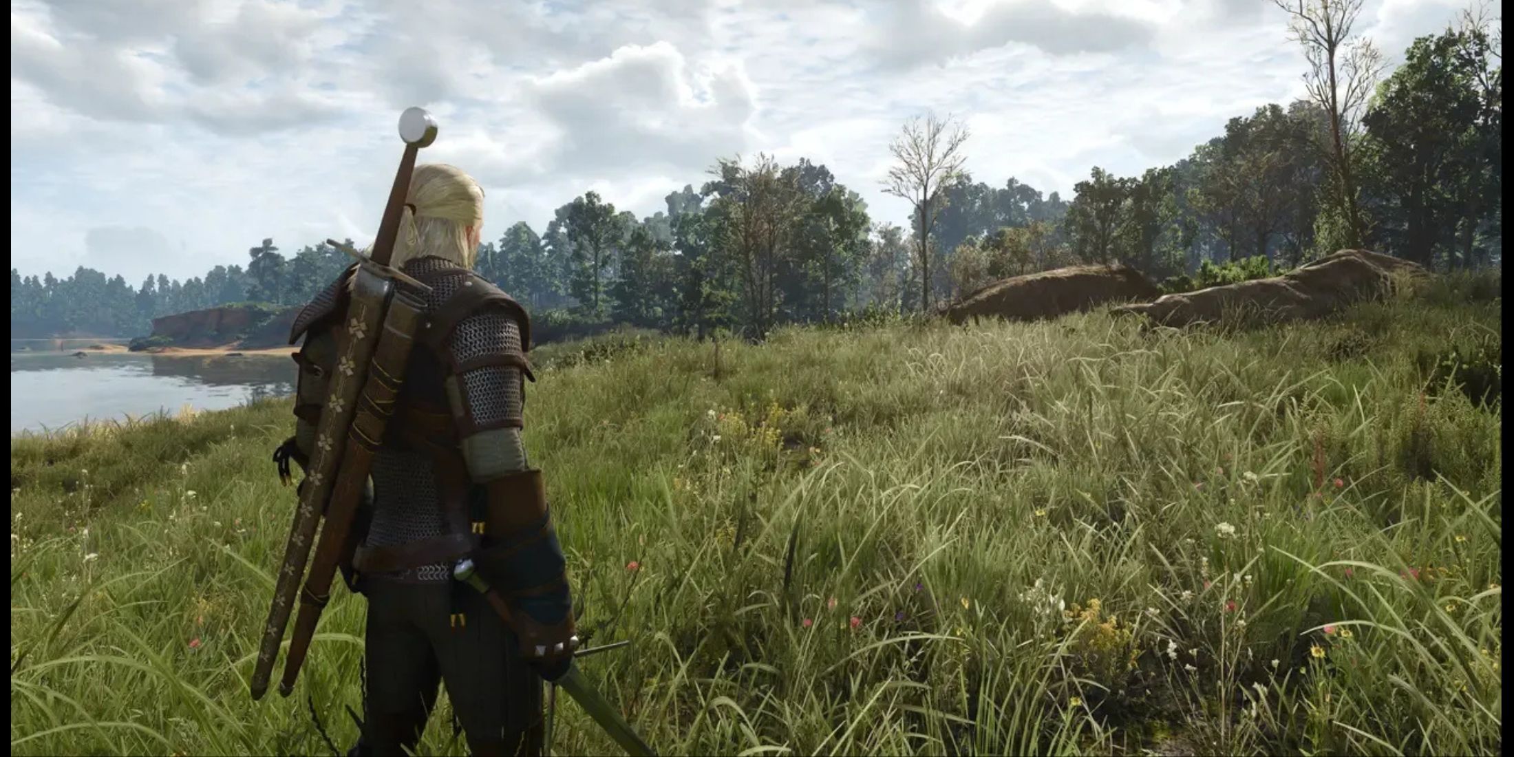 Geralt From The Witcher 3: Wild Hunt Standing in the Daytime