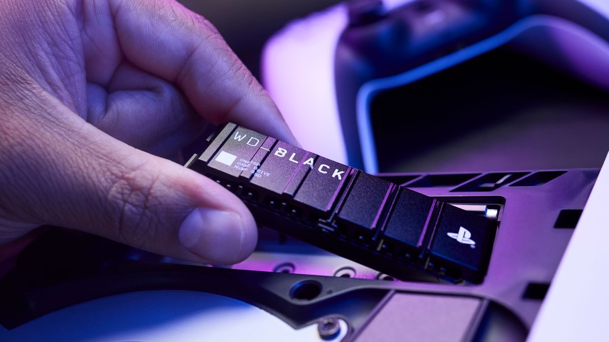WD_BLACK SN850P NVMe SSD
