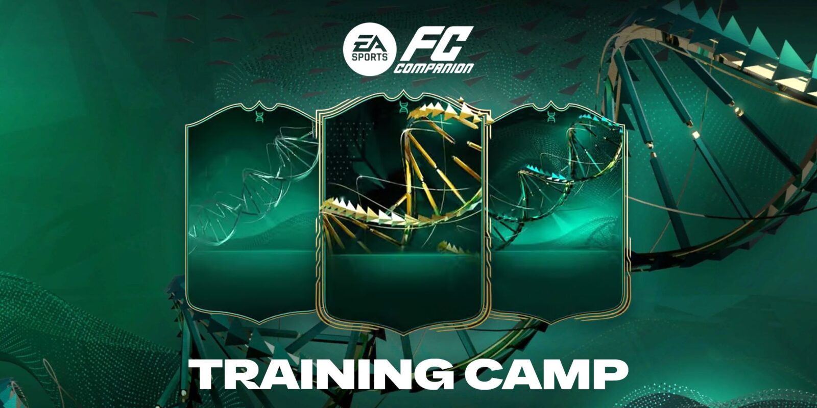 Training Camp Evolution Upgrade, Explained