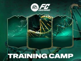 Training Camp Evolution Upgrade, Explained