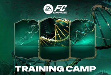 Training Camp Evolution Upgrade, Explained