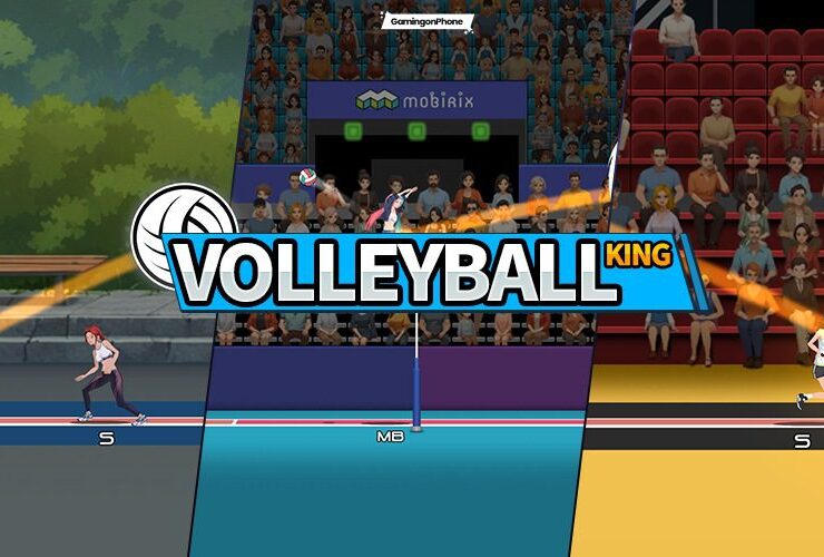VolleyBall King Available Cover