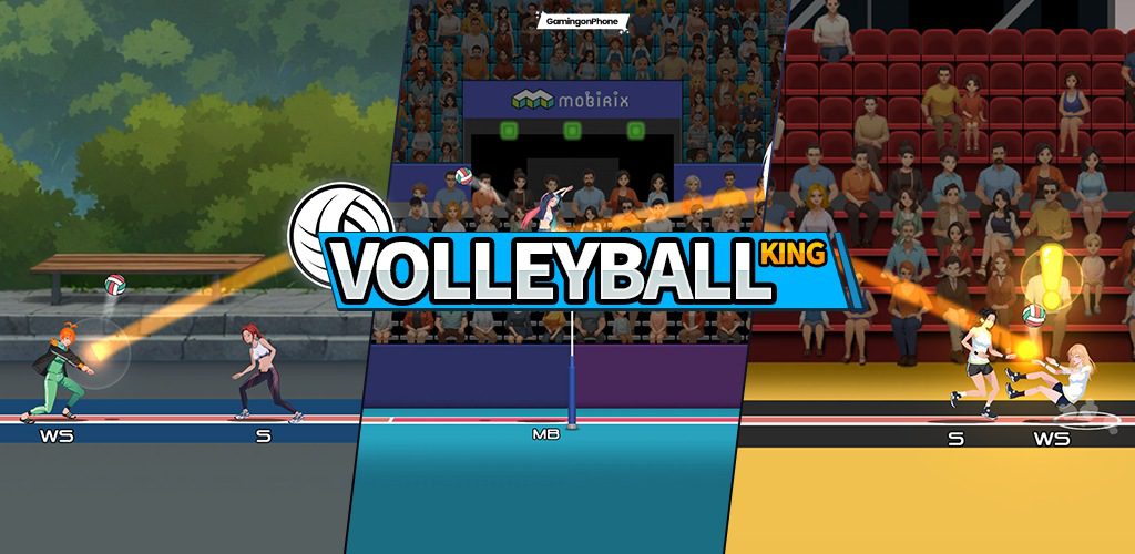 VolleyBall King Available Cover