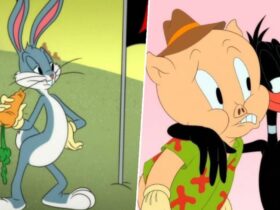 Warner Bros. removes nearly 40 years of Looney Tunes shorts from streaming service Max, a year after the studio canned Coyote vs. Acme