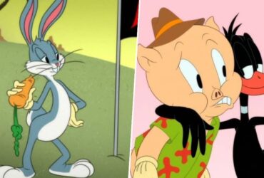 Warner Bros. removes nearly 40 years of Looney Tunes shorts from streaming service Max, a year after the studio canned Coyote vs. Acme