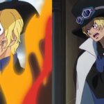 What Happened to Sabo After Punk Hazard, Explained