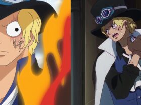 What Happened to Sabo After Punk Hazard, Explained