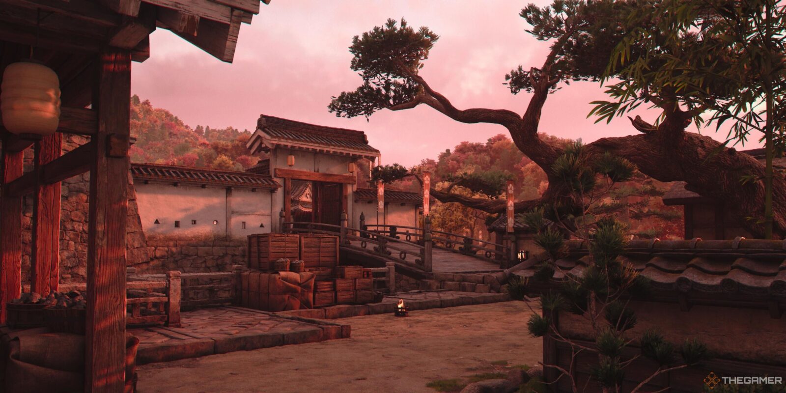 What The Max Level Is In Assassin's Creed Shadows