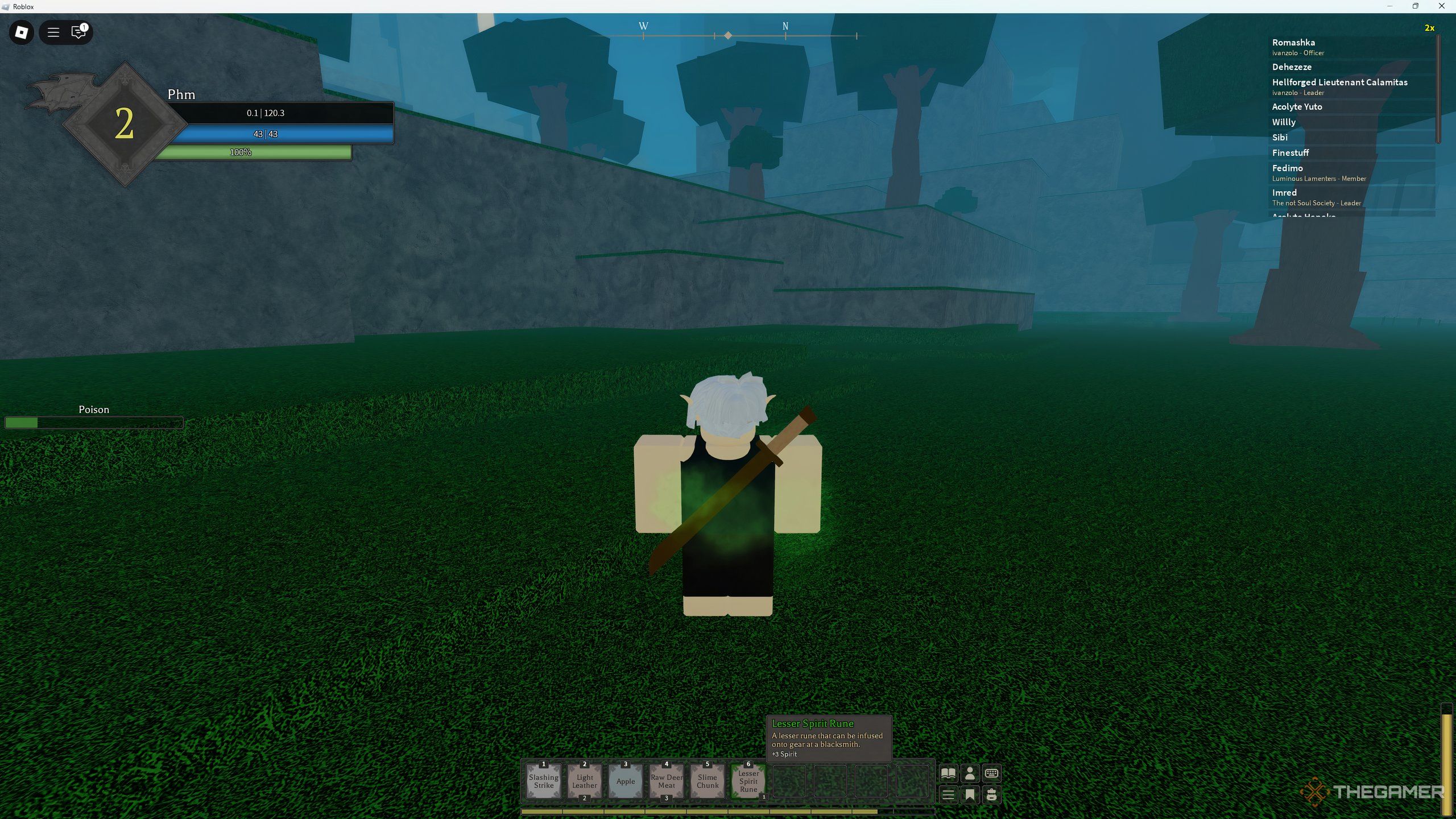 A wood in Roblox: Rune Slayer.