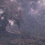 Where To Find All Ruins of Wyveria Pop-Up Camps In Monster Hunter Wilds