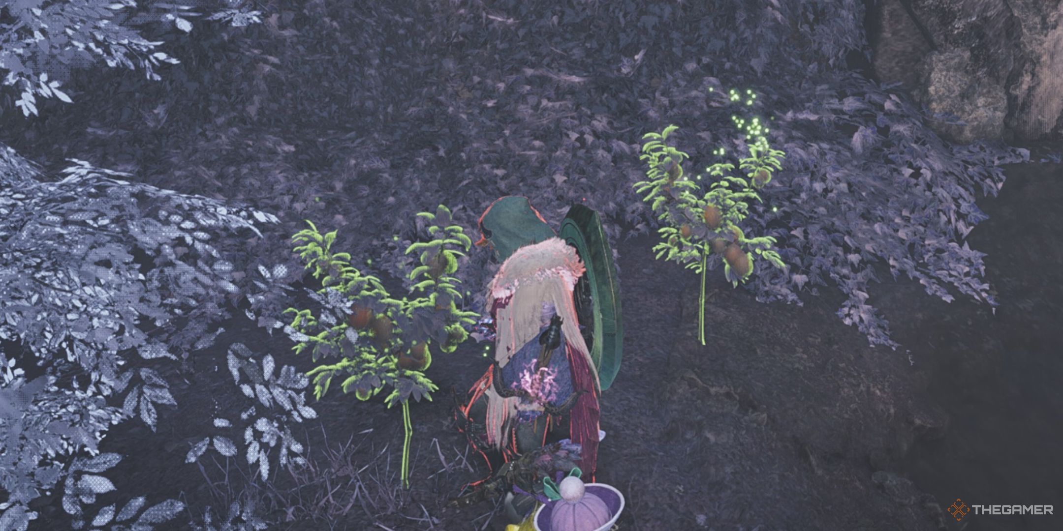 The image shows the Hunter standing beside two Wyveria Lantern plants in Monster Hunter Wilds.