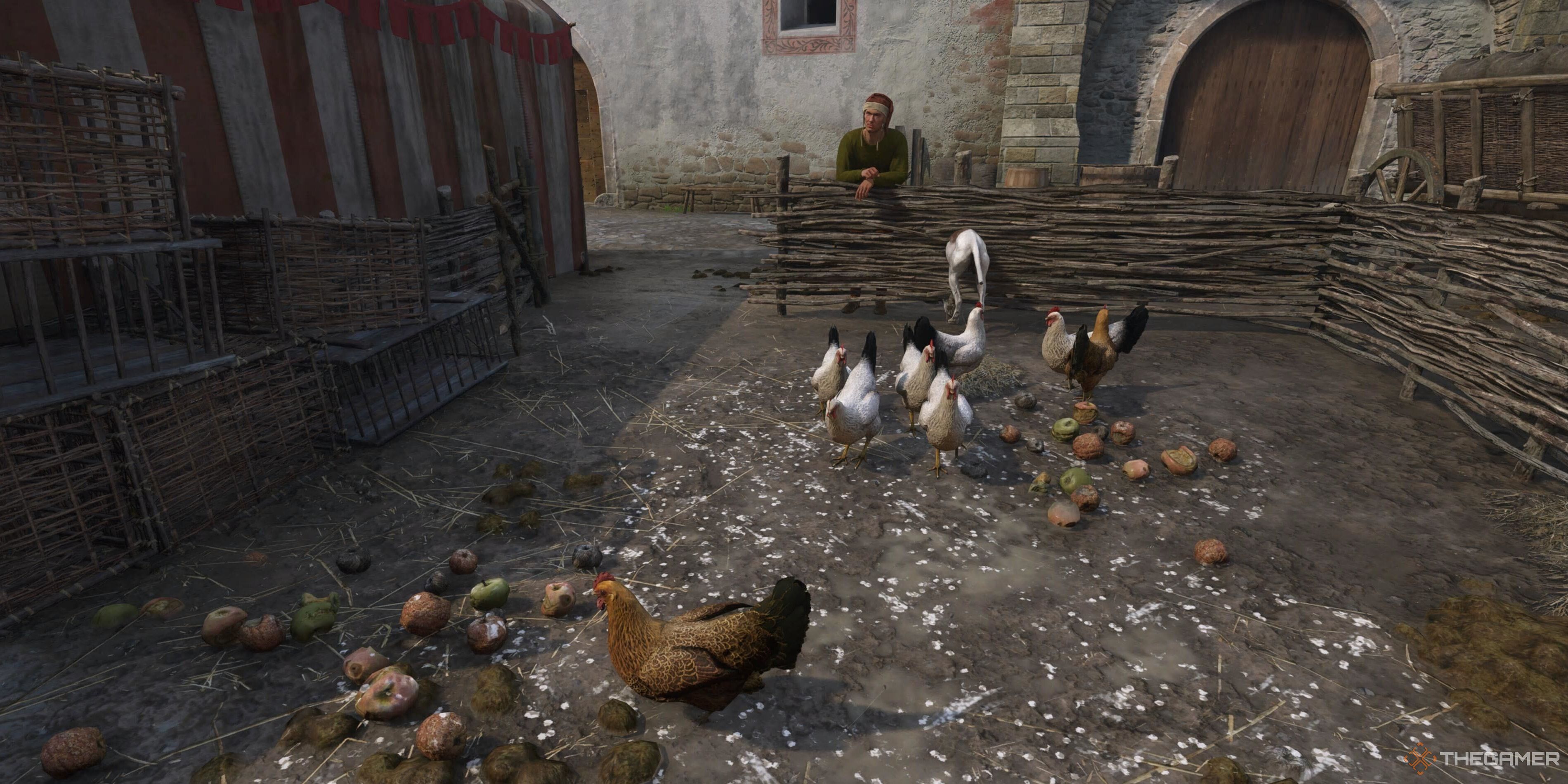 Some chicken in a pen in Kingdom Come: Deliverance 2.