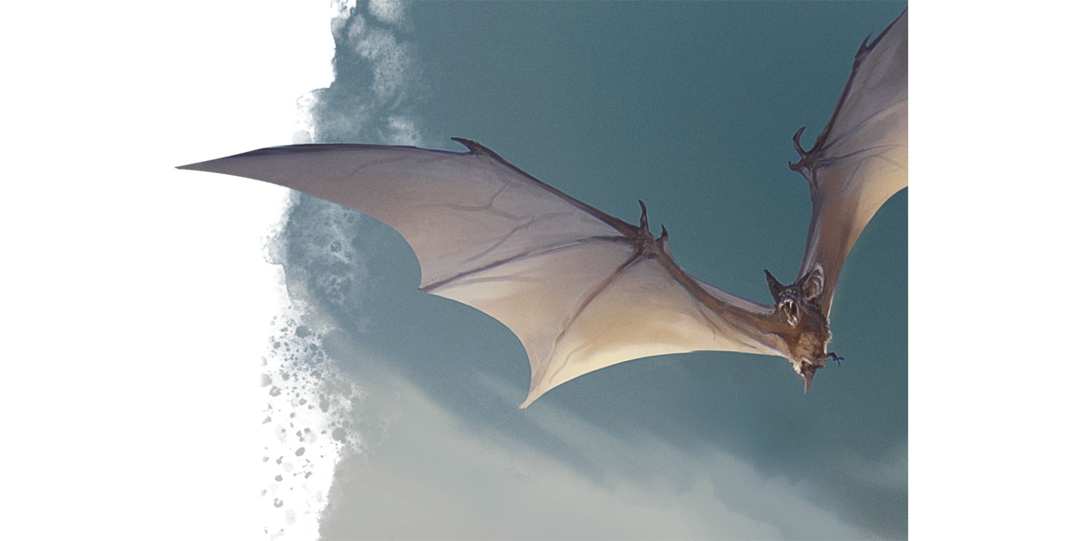 Dungeons & Dragons image showing a bat.