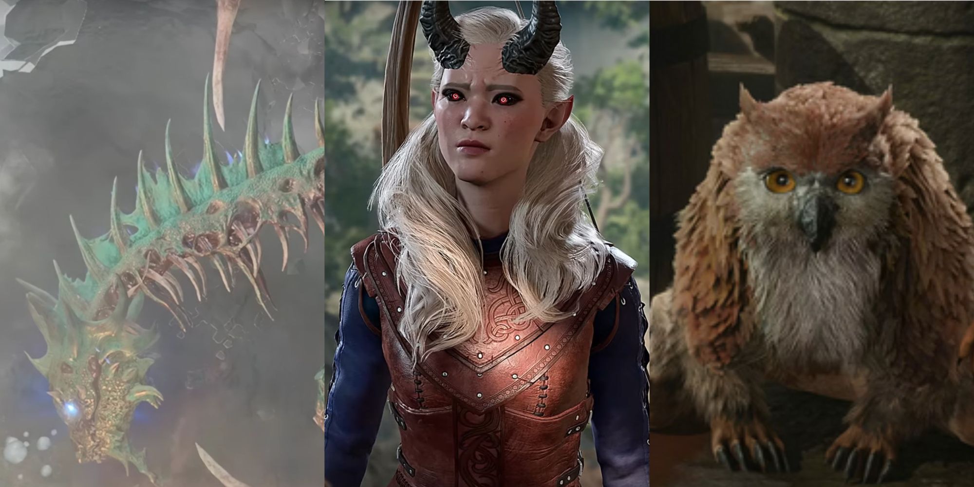 Baldur's Gate 3, Ansur Dragon Skeleton, Ellyka, Owlbear Cub