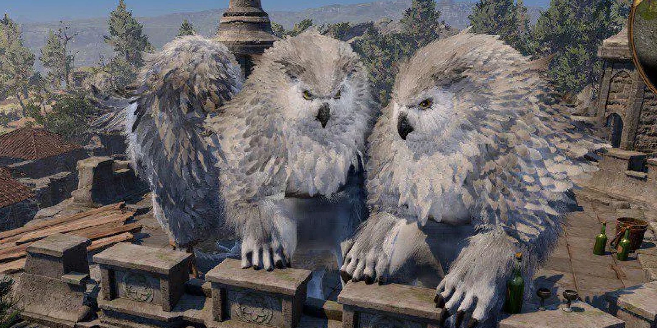 Baldur's Gate 3 screenshot of three Owl Bears sitting together on the ramparts.