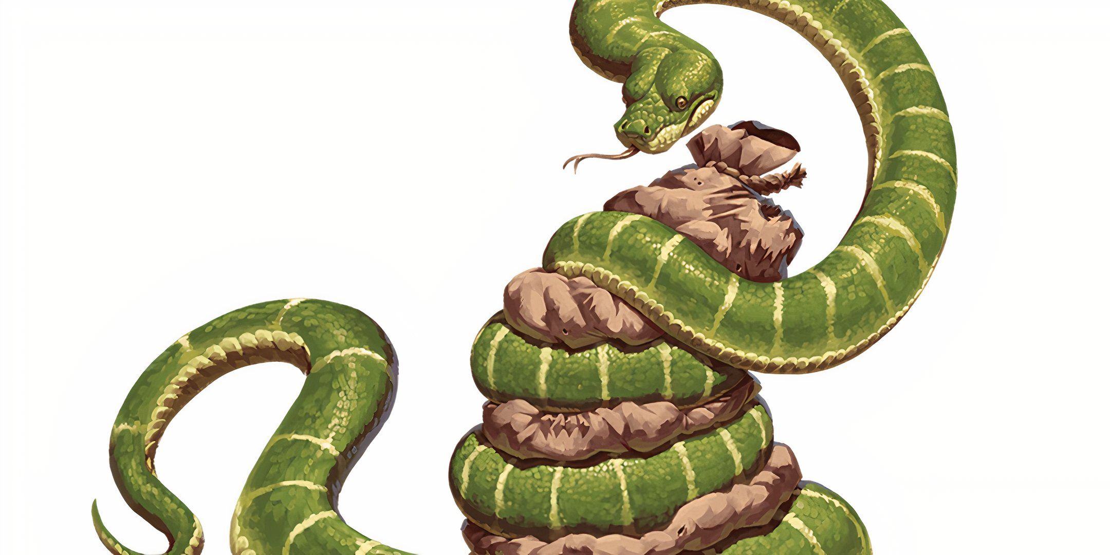 A snake wrapped around a sack in Dungeons & Dragons. 