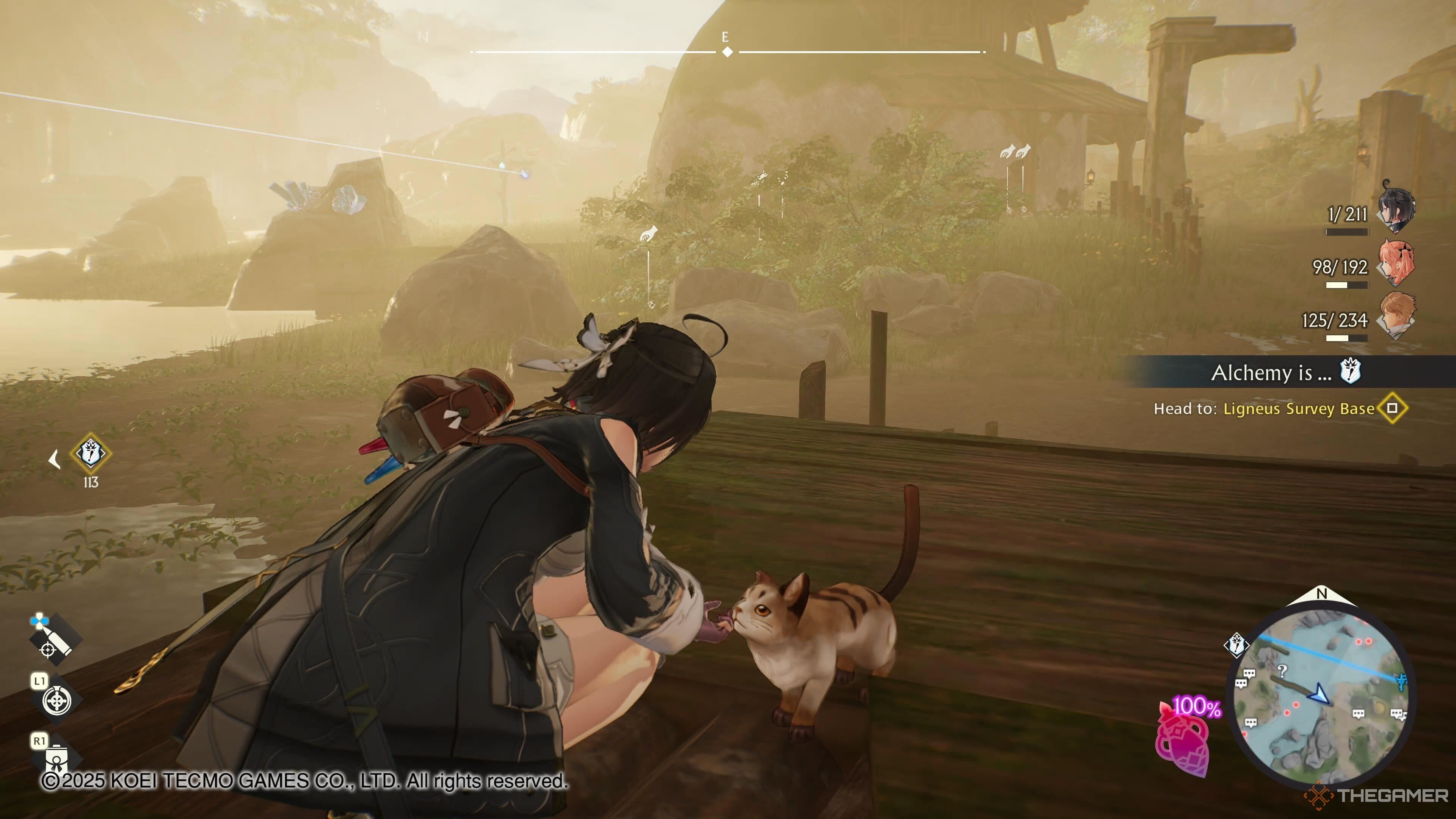 You can pet the cat in Atelier Yumia
