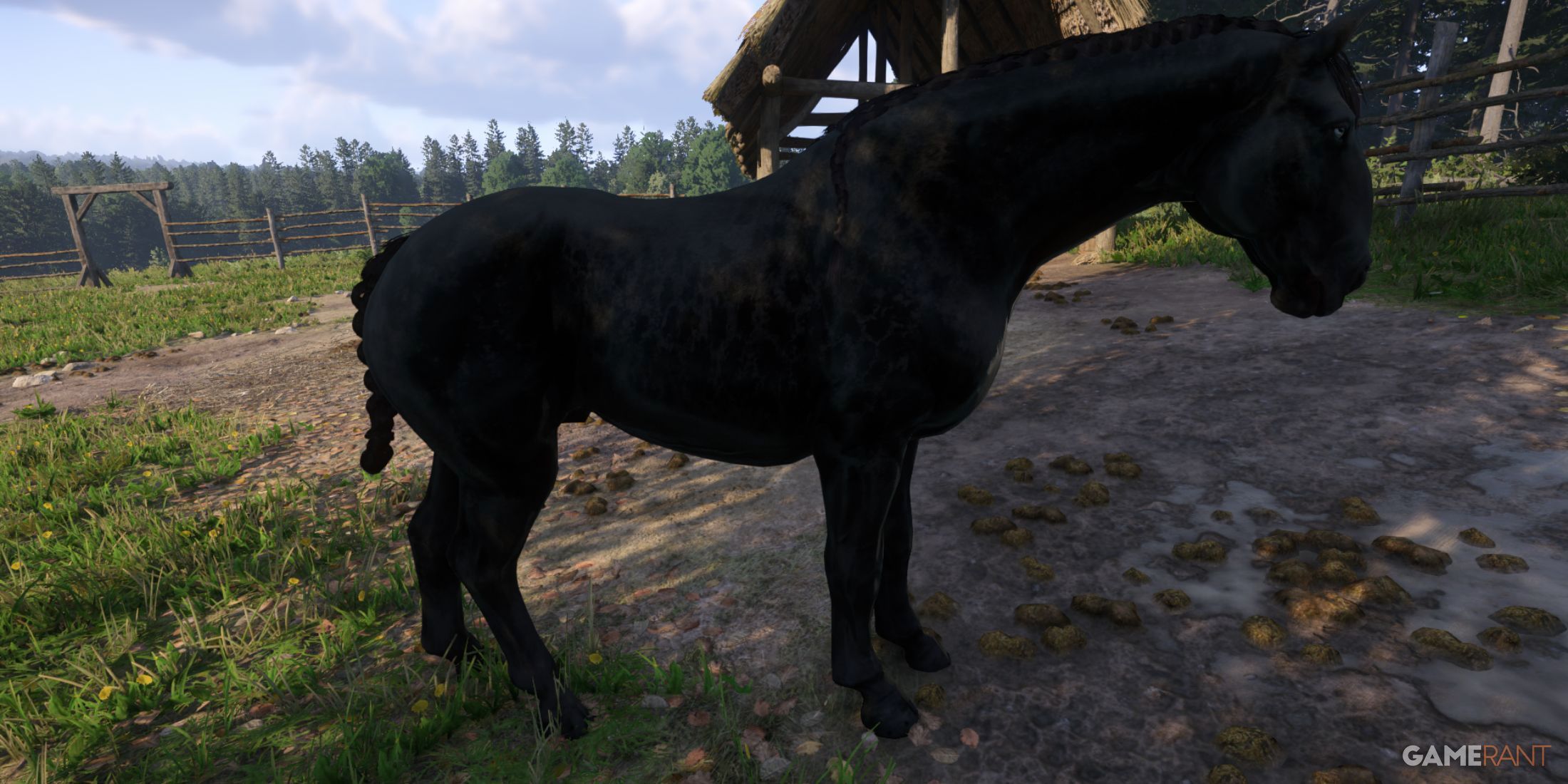 Kingdom Come Deliverance 2 - Horse - Erdel