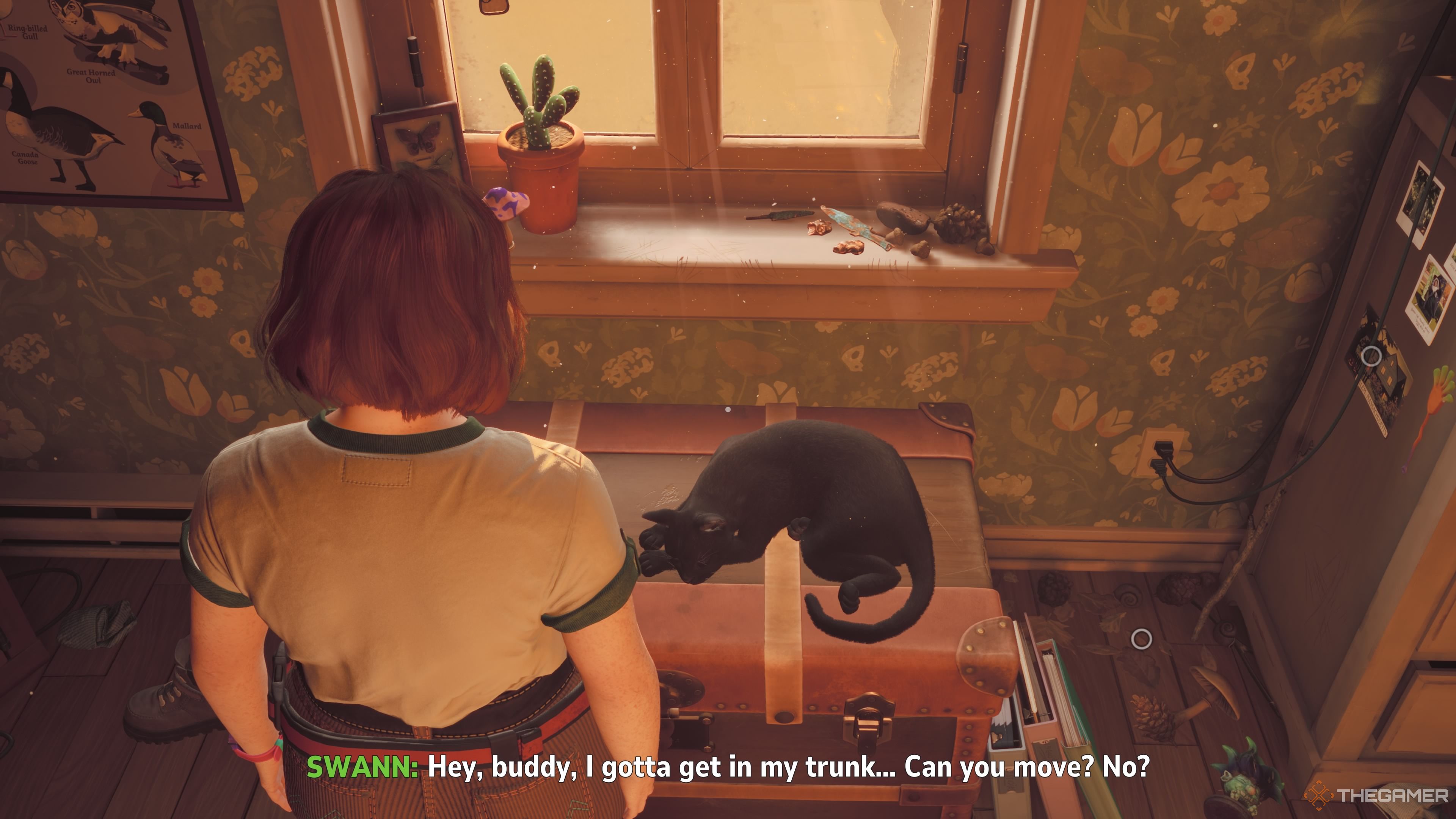 Swann talks to her cat who is laying on her trunk in Lost Records: Bloom & Rage.