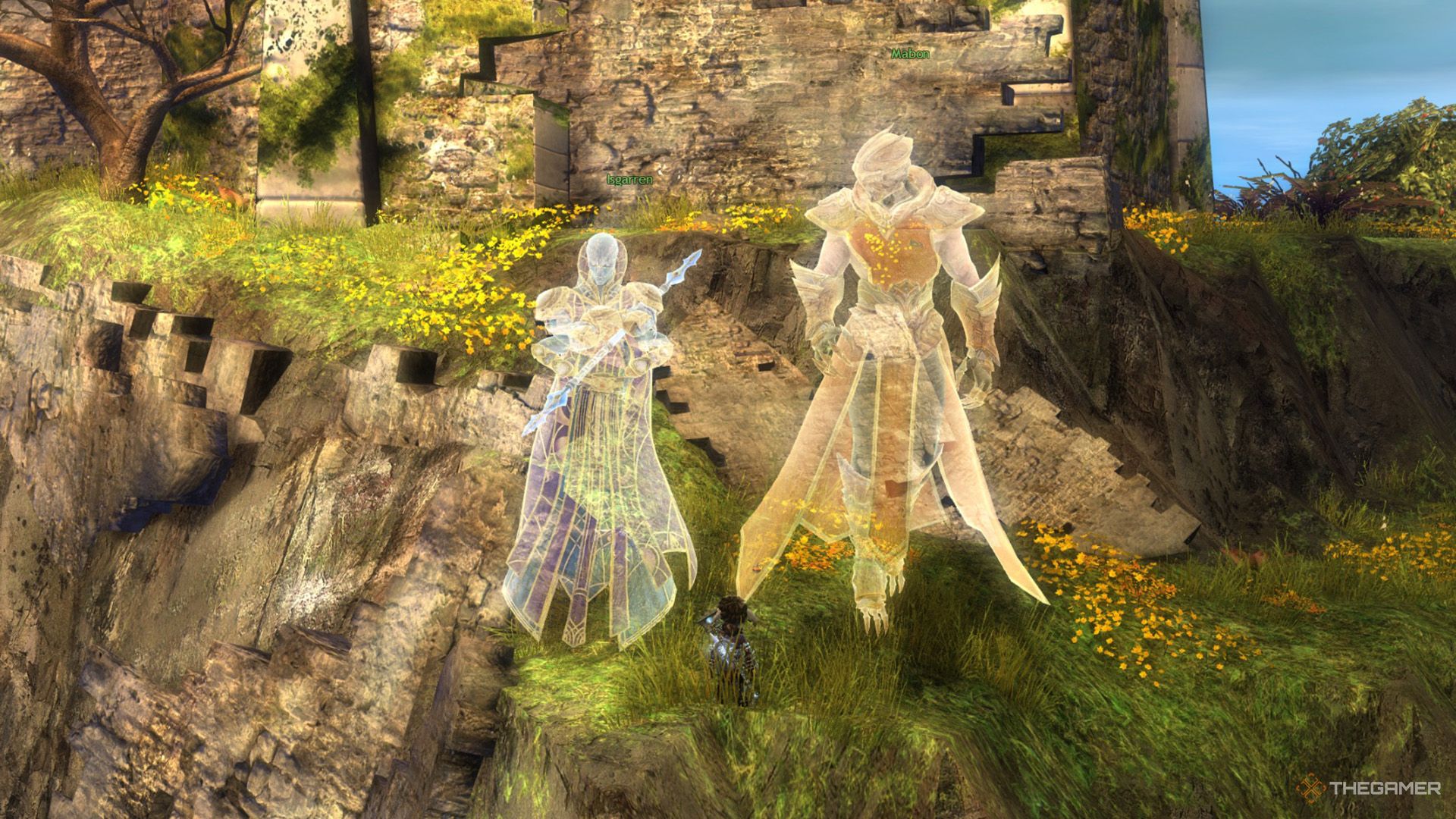 Mabon and Isgarren discussing the Elder Dragons in Gendarran Fields in Guild Wars 2.