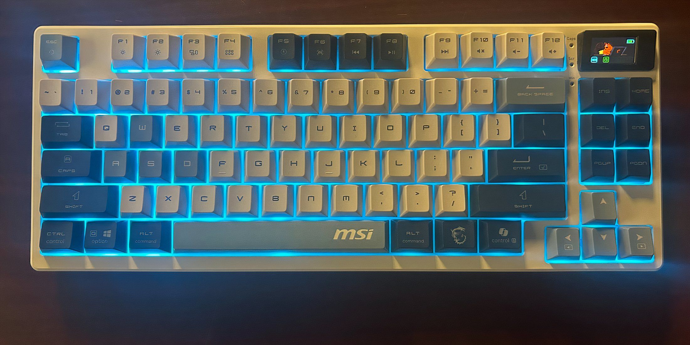 MSI Forge GK600 - Lit Up
