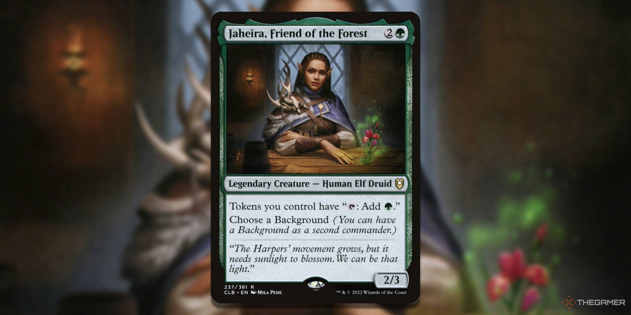 MTG Jaheira, Friend of the Forest card with the art in the background.