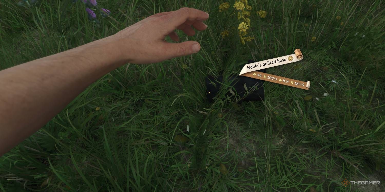Noble's Quilted Hose displayed in a field in Kingdom Come Deliverance 2.